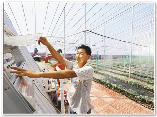 無土栽培，無土栽培技術(shù)，無土栽培設(shè)備