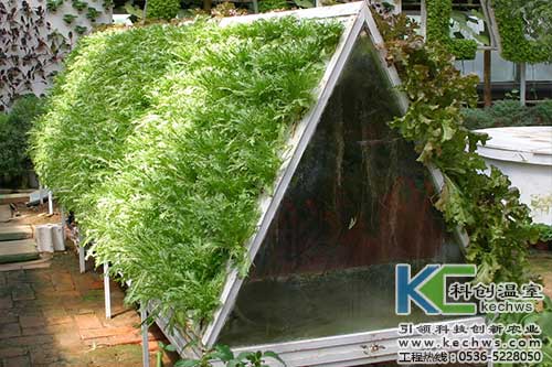 無土栽培，無土栽培技術，無土栽培設備