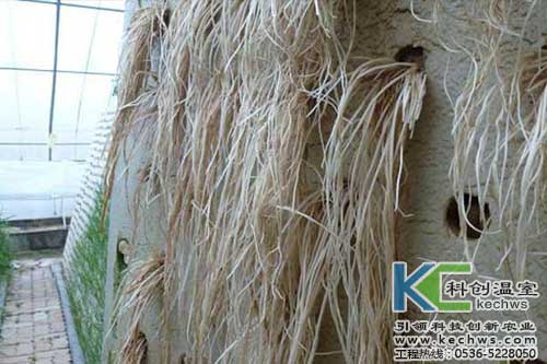 無土栽培，無土栽培技術，無土栽培設備