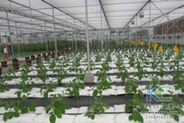 無土栽培，無土栽培技術