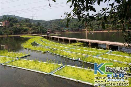 無土栽培，無土栽培技術(shù)，無土栽培設(shè)備