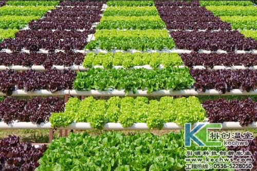 無土栽培，無土栽培技術，無土栽培設備