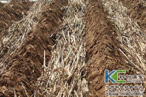 無土栽培，無土栽培技術，無土栽培設備