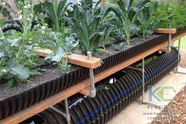 無土栽培，無土栽培技術