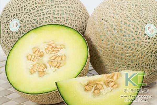 無土栽培，無土栽培技術(shù)，無土栽培設(shè)備