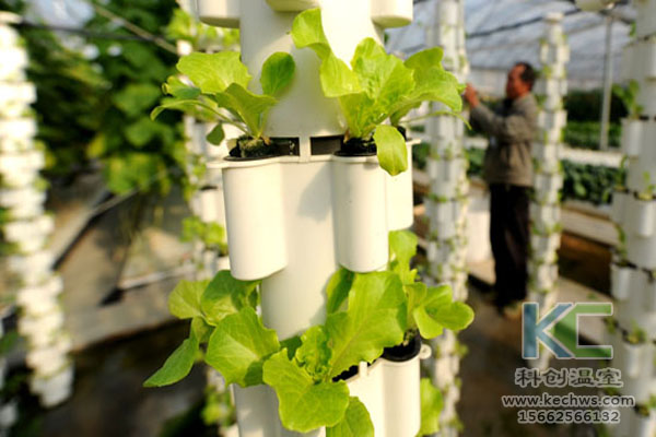 無土栽培，無土栽培技術(shù)，無土栽培設(shè)備