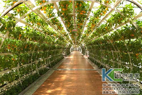 無土栽培，無土栽培技術(shù)，無土栽培設(shè)備