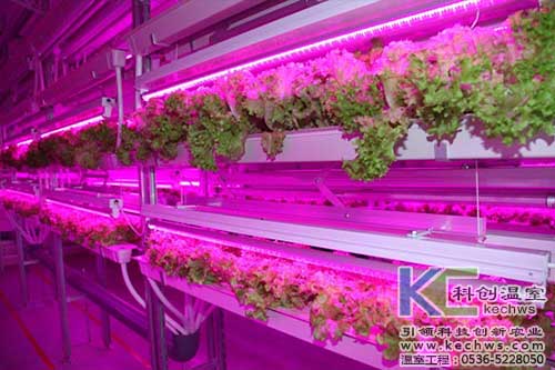 無土栽培，無土栽培技術，無土栽培設備