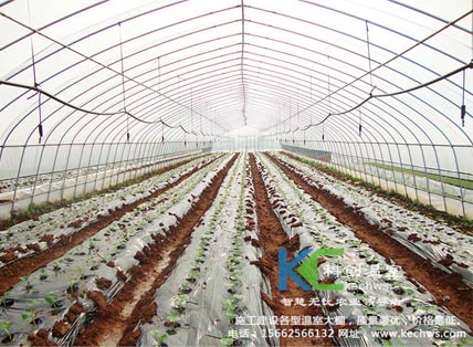 無(wú)土栽培，無(wú)土栽培技術(shù)，無(wú)土栽培設(shè)備
