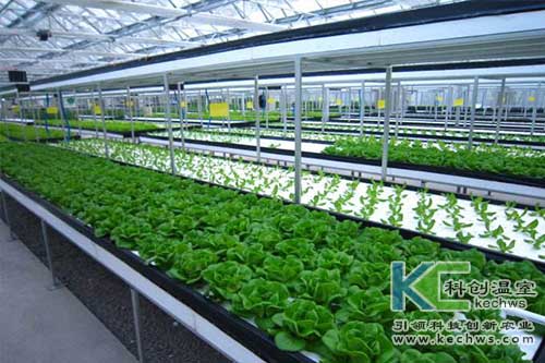 無(wú)土栽培，水培，營(yíng)養(yǎng)液