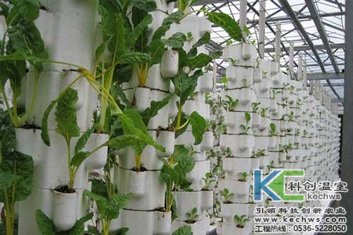 無(wú)土栽培，無(wú)土栽培技術(shù)，無(wú)土栽培設(shè)備