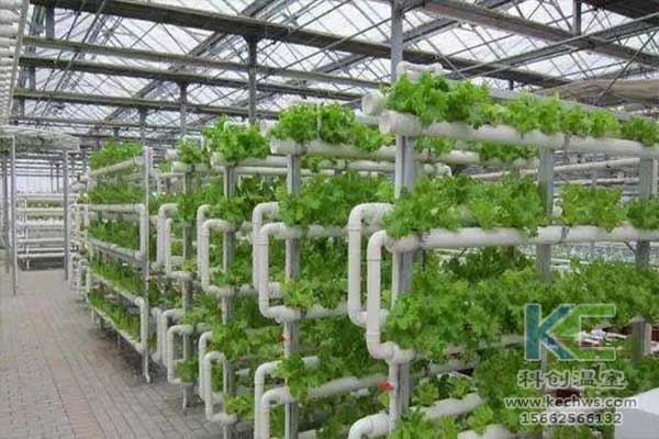 無土栽培，無土栽培技術，無土栽培設備
