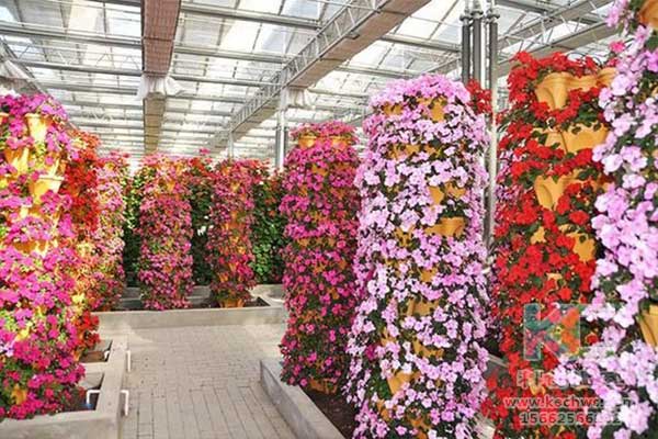 無土栽培，無土栽培技術，無土栽培設備