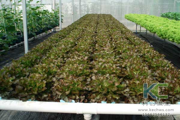 無土栽培，無土栽培技術，無土栽培設備