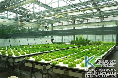 無土栽培，無土栽培技術(shù)，無土栽培設備
