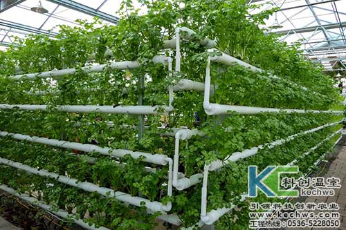 無土栽培，無土栽培技術，無土栽培設備