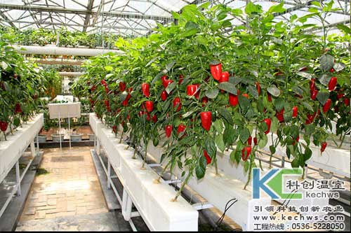 無土栽培，無土栽培技術，無土栽培設備