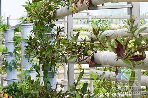 無土栽培，無土栽培技術，無土栽培設備