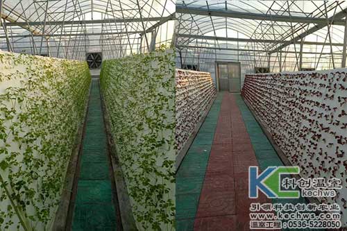 無(wú)土栽培，無(wú)土栽培技術(shù)，無(wú)土栽培設(shè)備