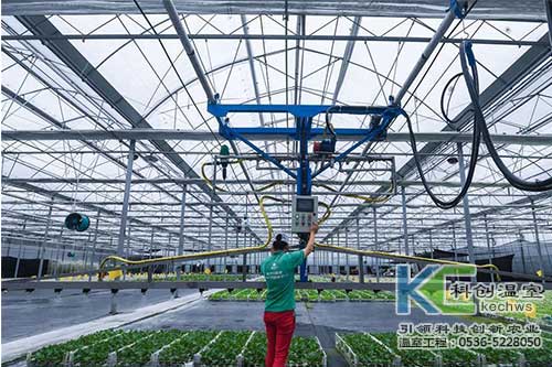 無土栽培，無土栽培技術，無土栽培設備