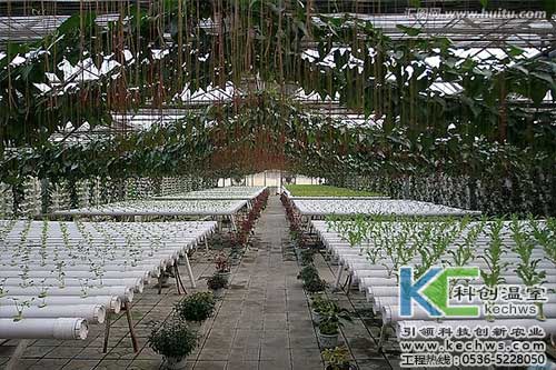 無土栽培，無土栽培技術，無土栽培設備