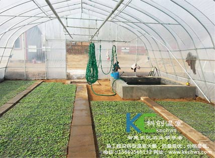 無(wú)土栽培，無(wú)土栽培技術(shù)，無(wú)土栽培設(shè)備