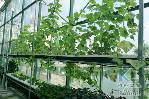 智能溫室無土栽培，無土栽培技術(shù)，溫室大棚，無土栽培