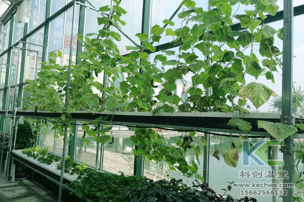 無(wú)土栽培，無(wú)土栽培技術(shù)，無(wú)土栽培設(shè)備