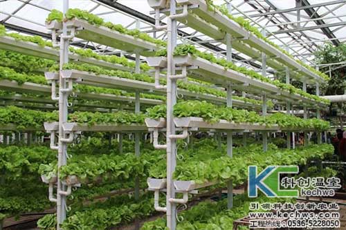 無(wú)土栽培，無(wú)土栽培技術(shù)，無(wú)土栽培設(shè)備
