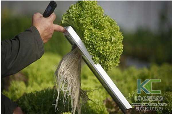 無(wú)土栽培，無(wú)土栽培營(yíng)養(yǎng)液