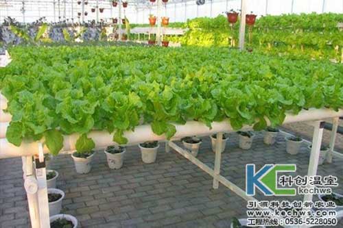無土栽培，無土栽培技術，無土栽培設備