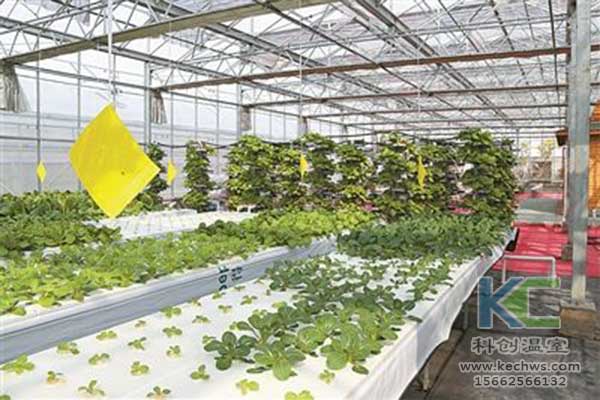 無土栽培，無土栽培技術，無土栽培設備