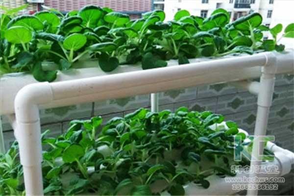 無土栽培，無土栽培技術(shù)