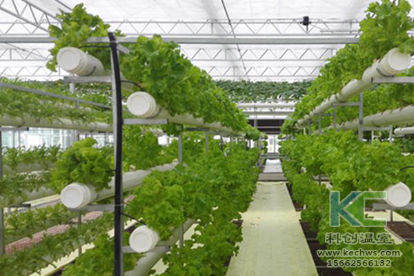 無土栽培，無土栽培技術，無土栽培設備