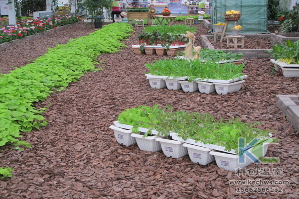 無土栽培，無土栽培技術，無土栽培設備