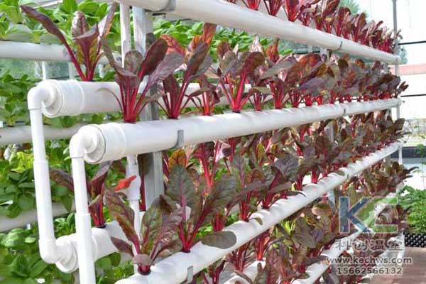 無土栽培,無土栽培技術,無土栽培設備