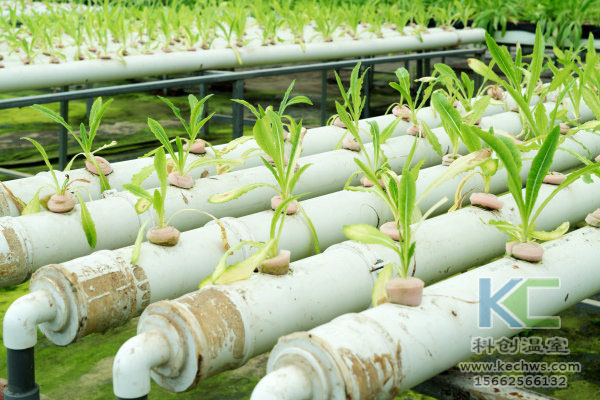 無土栽培，無土栽培技術，無土栽培設備