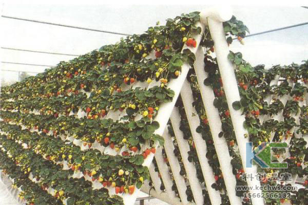 無土栽培，無土栽培技術，無土栽培設備