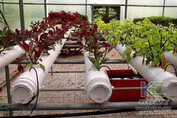 無土栽培，無土栽培技術，無土栽培設備