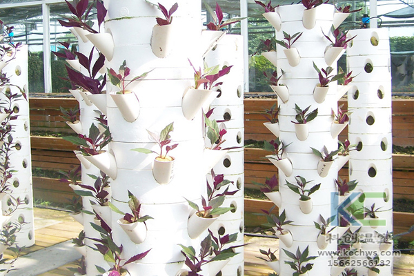 無土栽培，無土栽培技術，蔬菜栽培