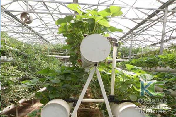 無土栽培，無土栽培技術，無土栽培設備