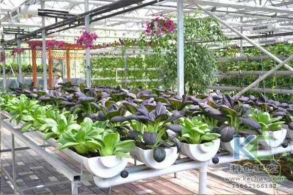 無土栽培，無土栽培技術，無土栽培設備