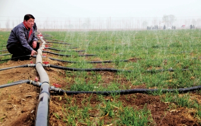 無土栽培，無土栽培技術(shù)，無土栽培設(shè)備