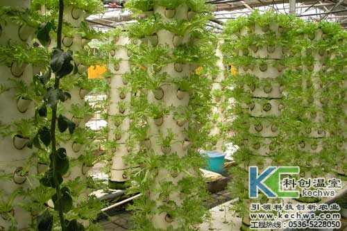 無土栽培，無土栽培技術(shù)，無土栽培設備