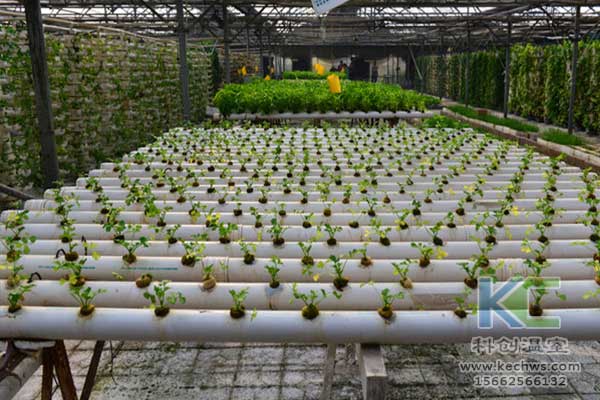 無土栽培，無土栽培技術，無土栽培設備