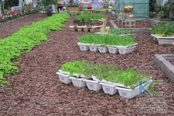 無土栽培技術，無土栽培設備，無土栽培，溫室大棚