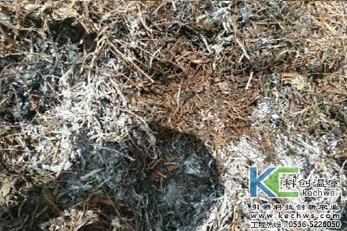 無土栽培，無土栽培技術，無土栽培設備