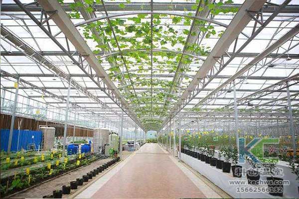 無土栽培，無土栽培技術，無土栽培設備