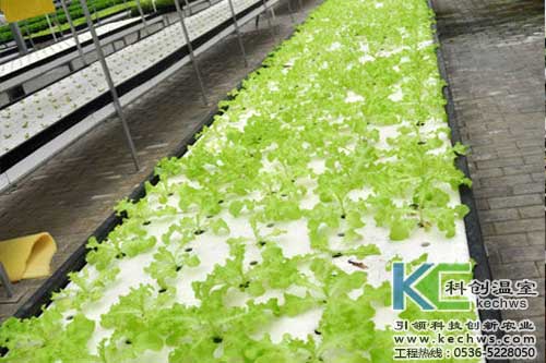 無土栽培，無土栽培技術，無土栽培設備