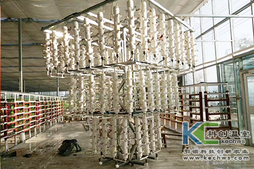 無(wú)土栽培,基質(zhì)栽培,水培